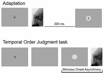 Age-Related Changes in Sensorimotor Temporal Binding